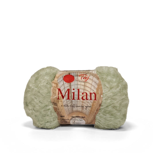 Milan 07