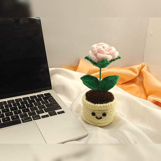 Rose mini pot with smiley