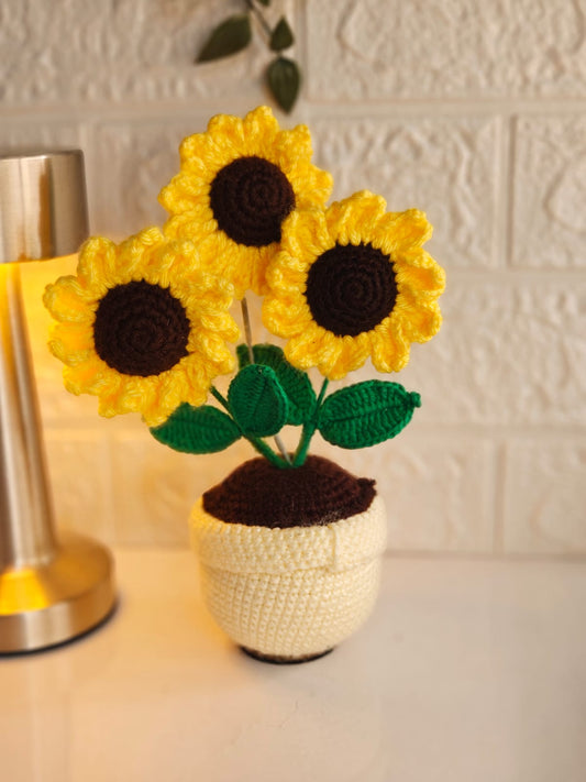 Three sunflower in a pot