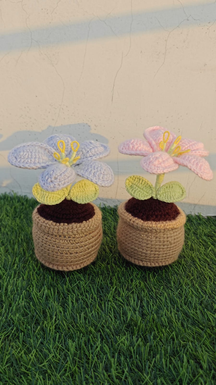 Lily mini pot