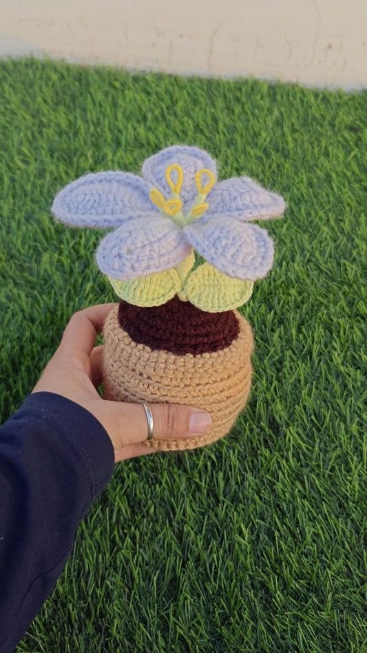 Lily mini pot