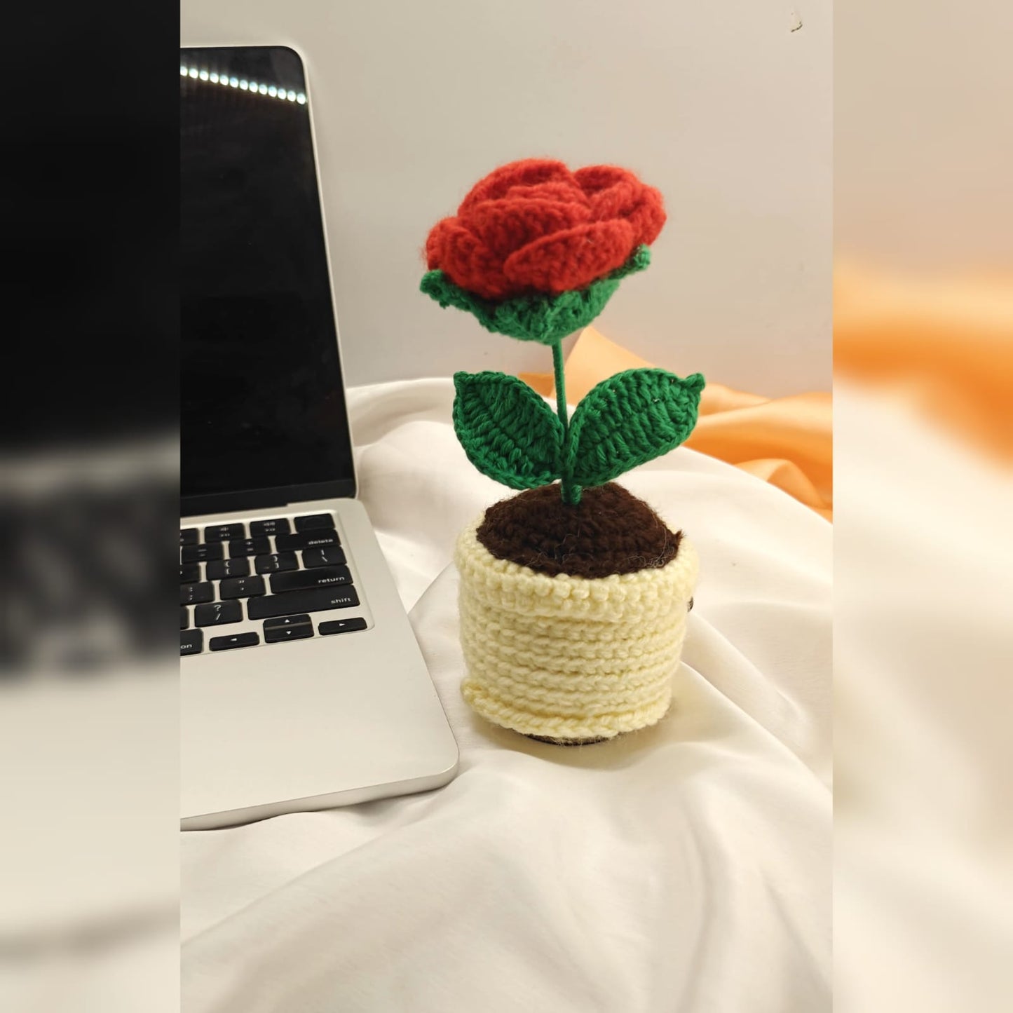 Rose mini pot