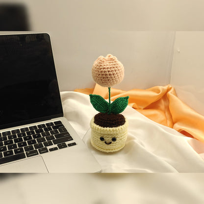 Rose mini pot with smiley