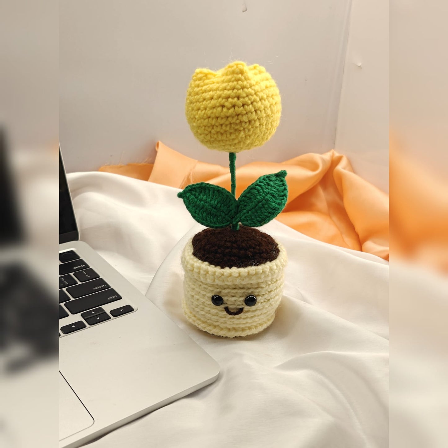 Rose mini pot with smiley