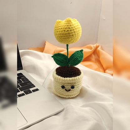 Rose mini pot with smiley