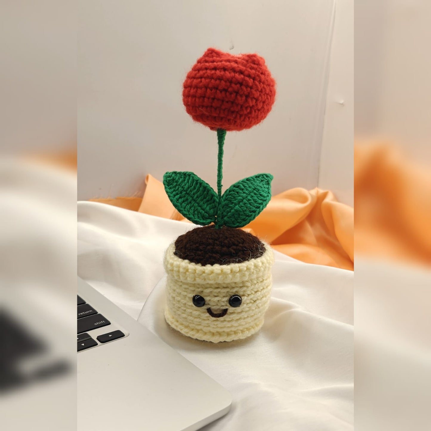 Rose mini pot with smiley