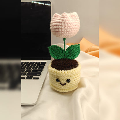 Rose mini pot with smiley