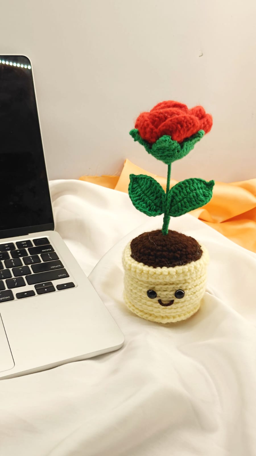 Rose mini pot with smiley